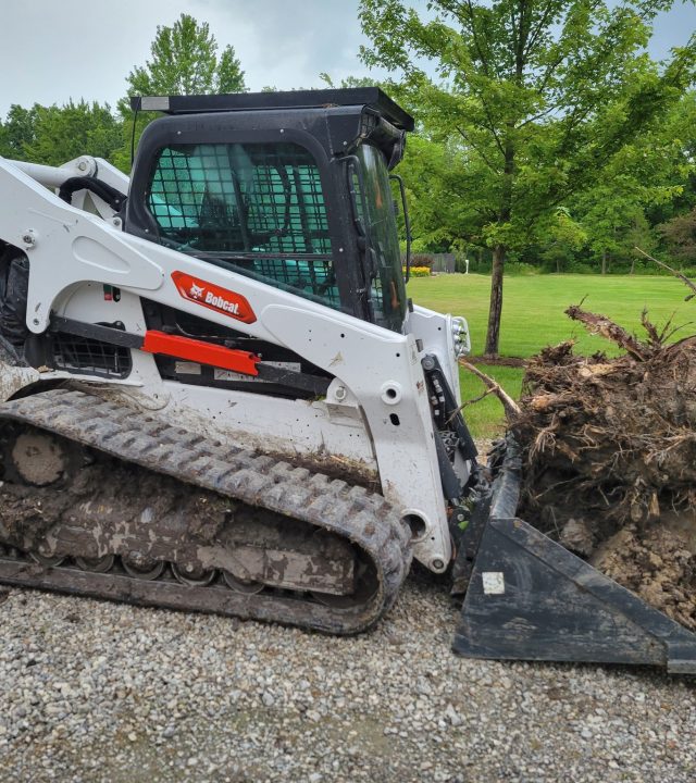 Reliable forestry mulching services near me in Southeastern Michigan, by God’s Country Land Services.