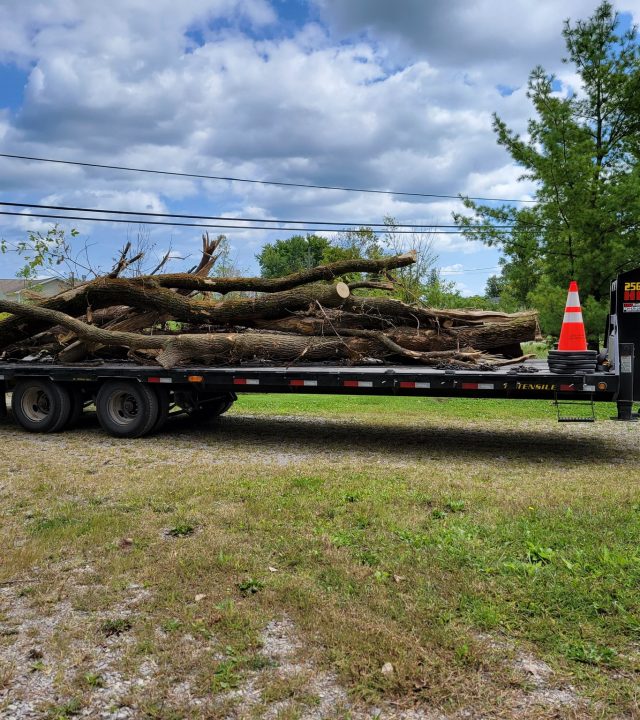 Reliable land clearing services near me in Southeastern Michigan, by God’s Country Land Services.