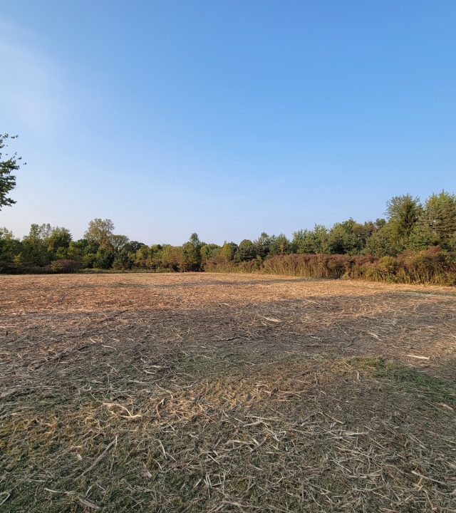 Reliable land clearing services near me in Southeastern Michigan, by God’s Country Land Services.